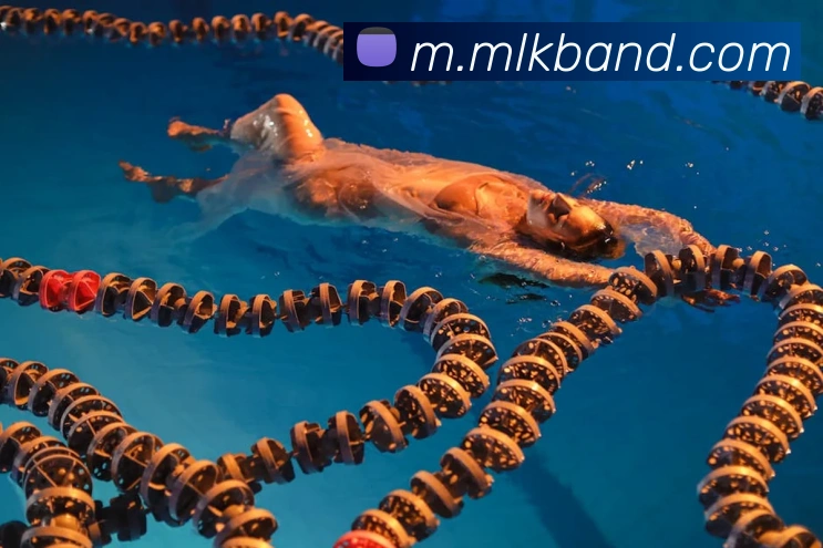 米兰milan官网服务体系